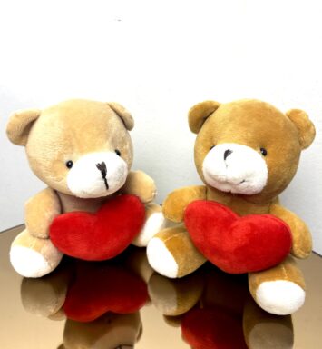 Plisani medvedic sa srcem