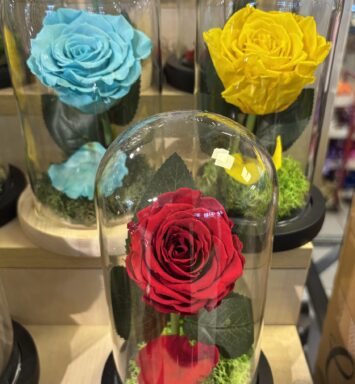 Dehidrirana ruža pod staklenim zvonom